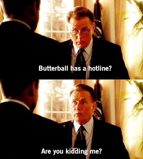 (Source: http://www.hercampus.com/sites/default/files/2012/11/19/thanksgivingtv.westwing.png) 